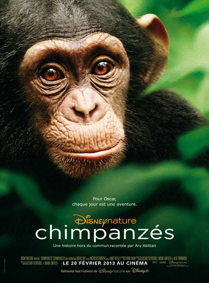 Lire la suite à propos de l’article Chimpanzés