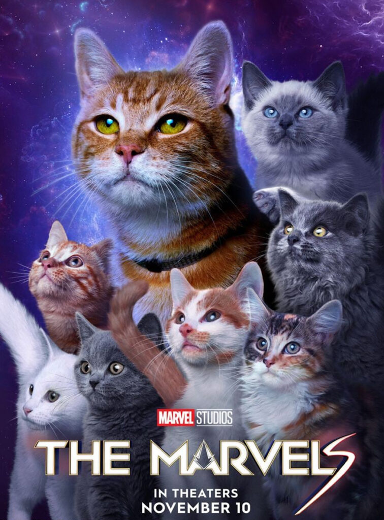 Lire la suite à propos de l’article The Marvels